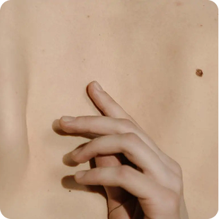image (19)